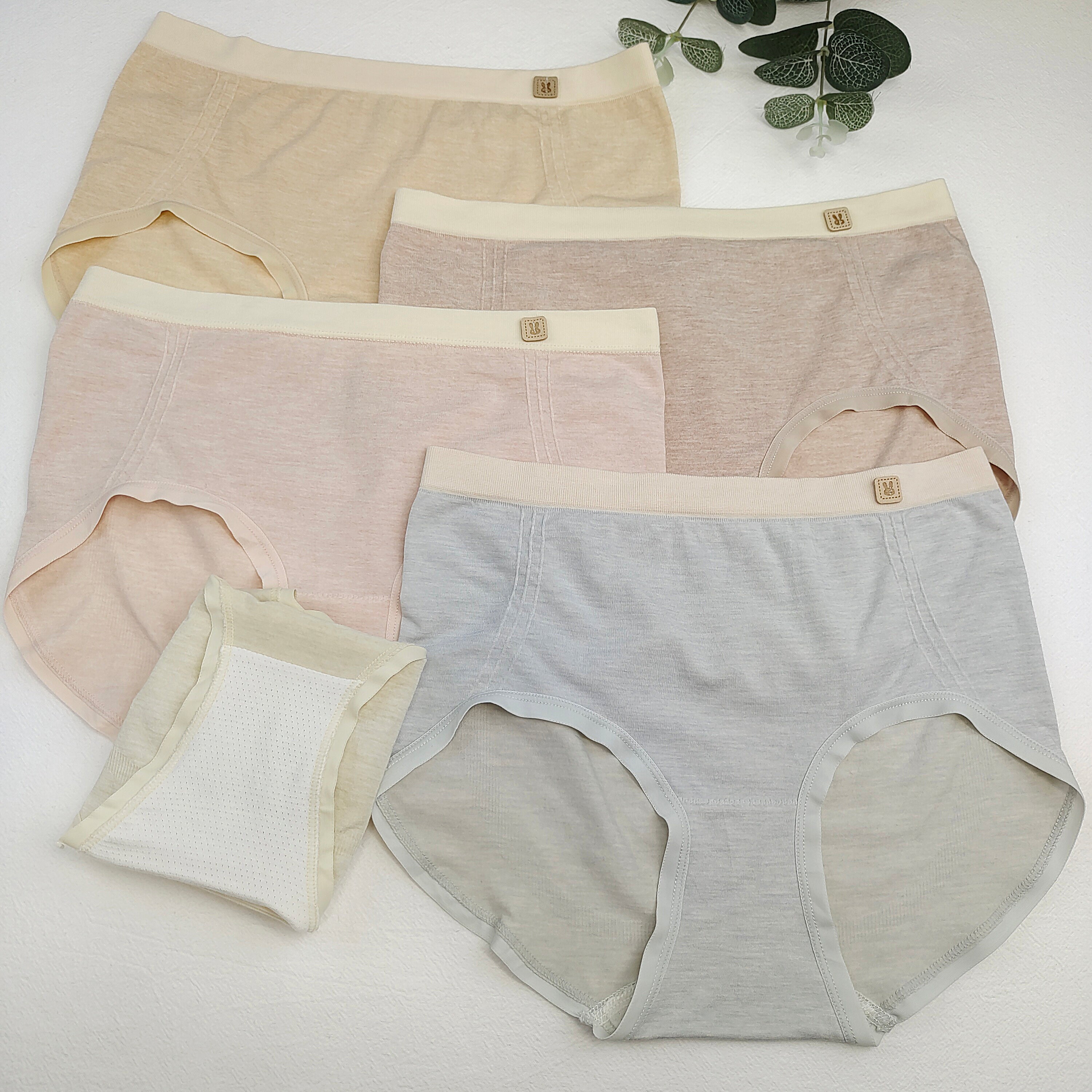 Women Stretch Underwear for Teen Girls Mid Waist Brief Comfort Multicolor 5 packs